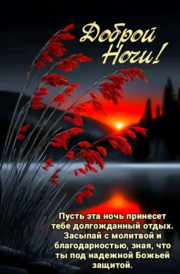 Фото из поста