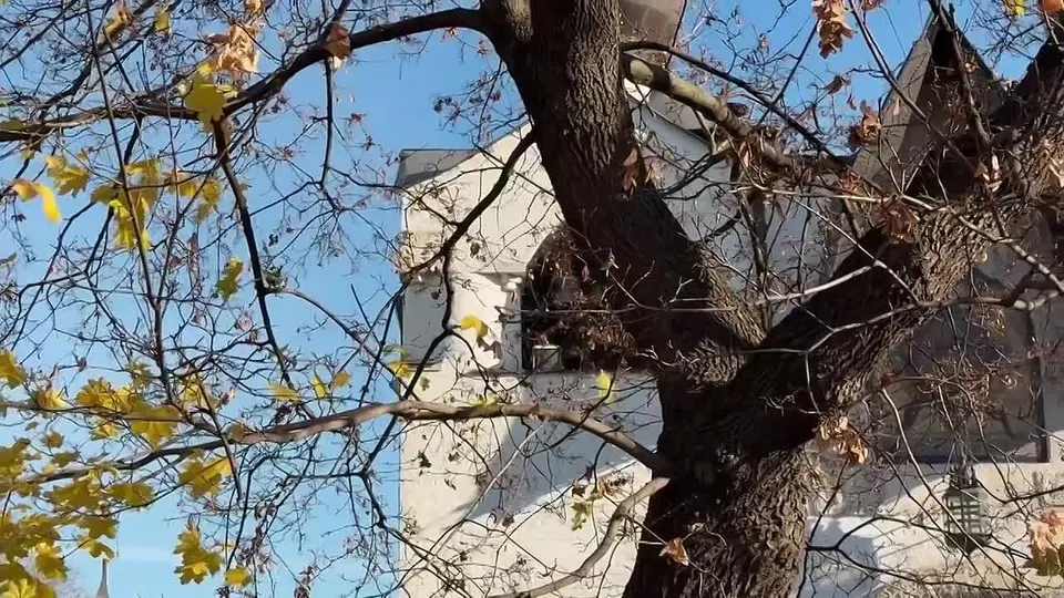 Обложка видео