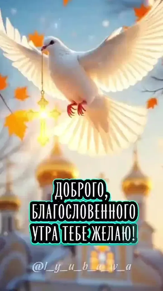 Обложка видео