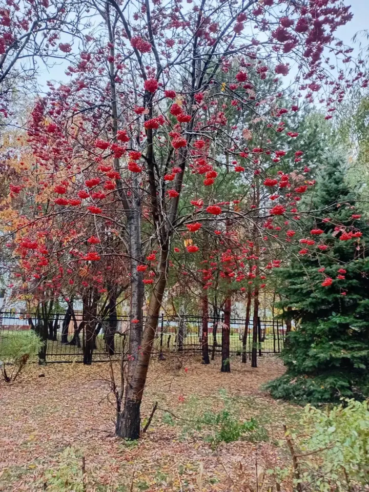 Фото из поста