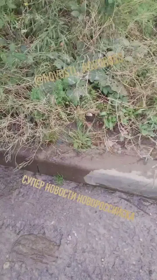 Обложка видео