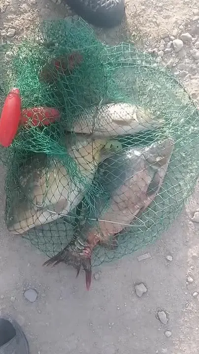 Обложка видео