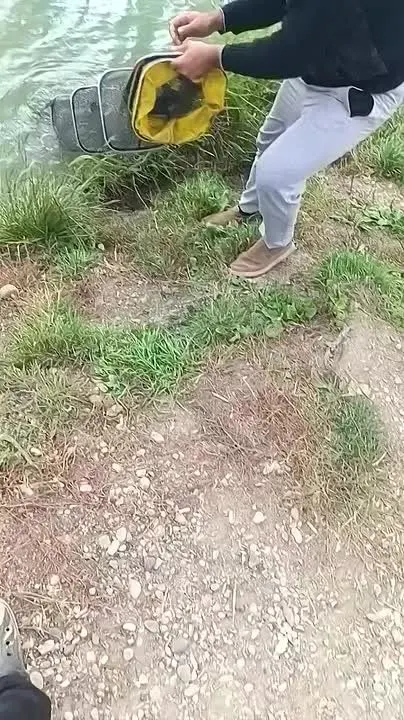 Обложка видео