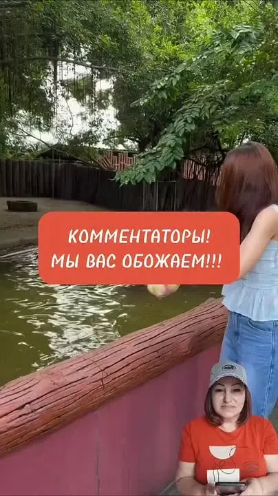 Обложка видео