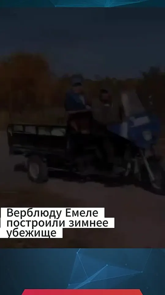 Обложка видео