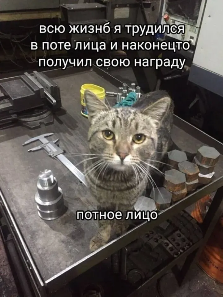 Фото из поста