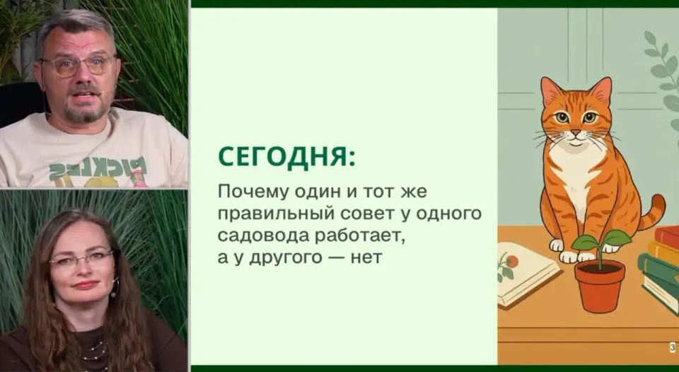 Фото из поста