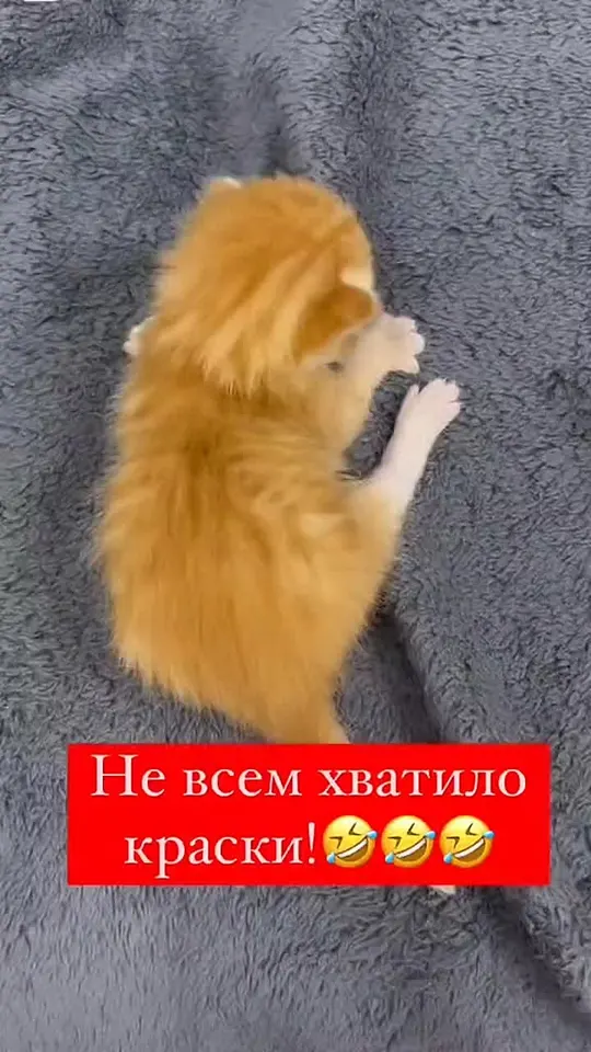 Обложка видео