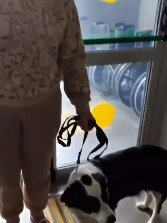 Обложка видео