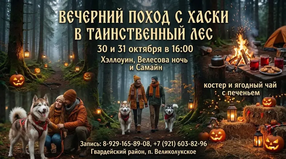 Фото из поста