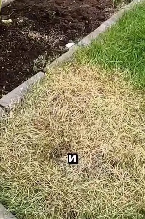 Обложка видео