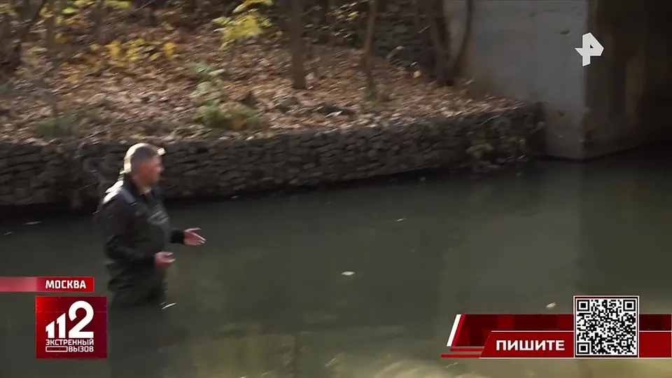 Обложка видео