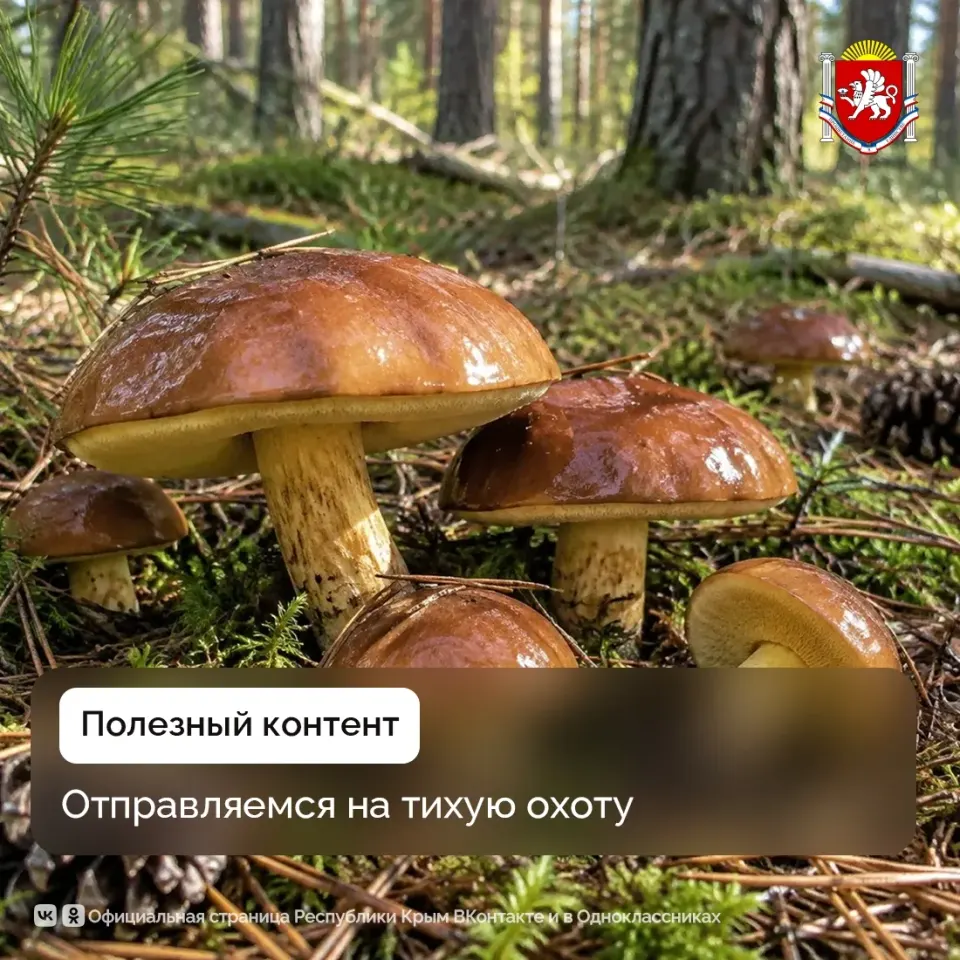 Фото из поста