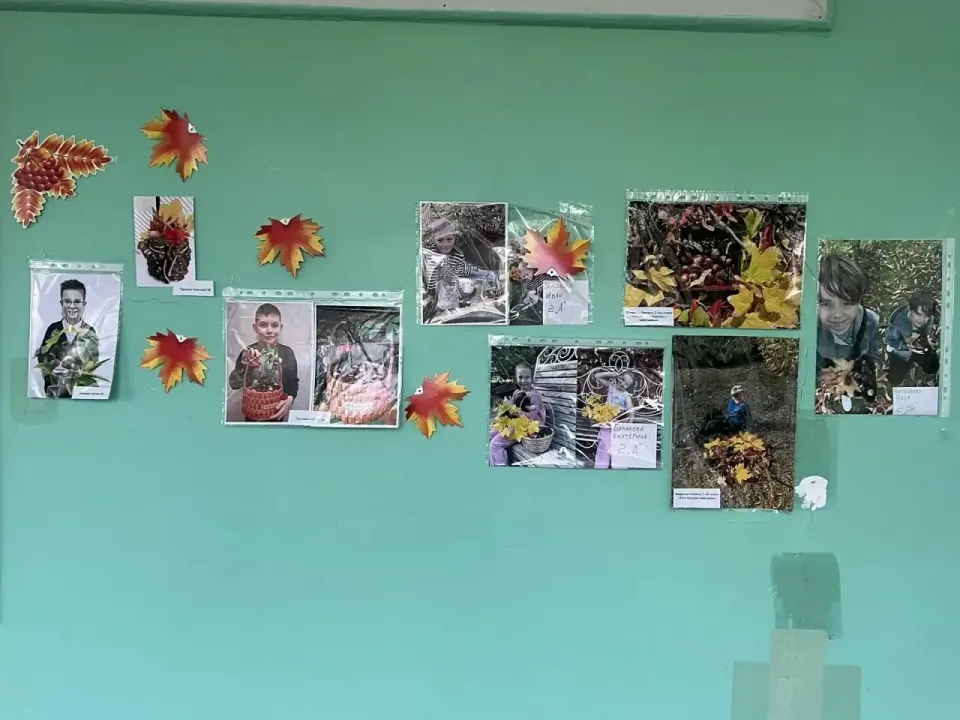 Фото из поста