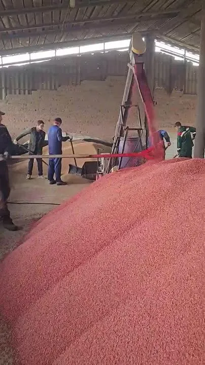 Обложка видео