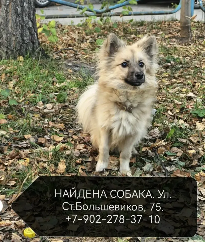 Фото из поста