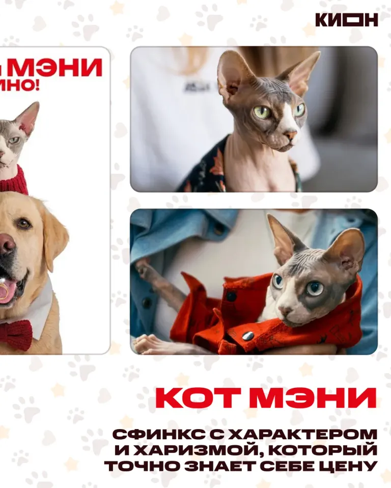 Фото из поста