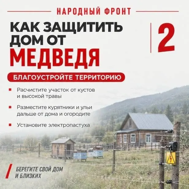Фото из поста