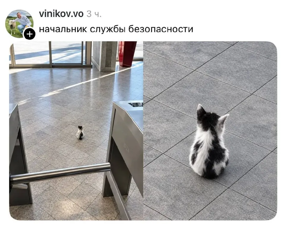 Фото из поста