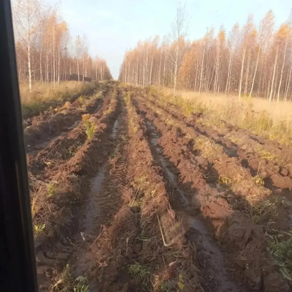 Фото из поста