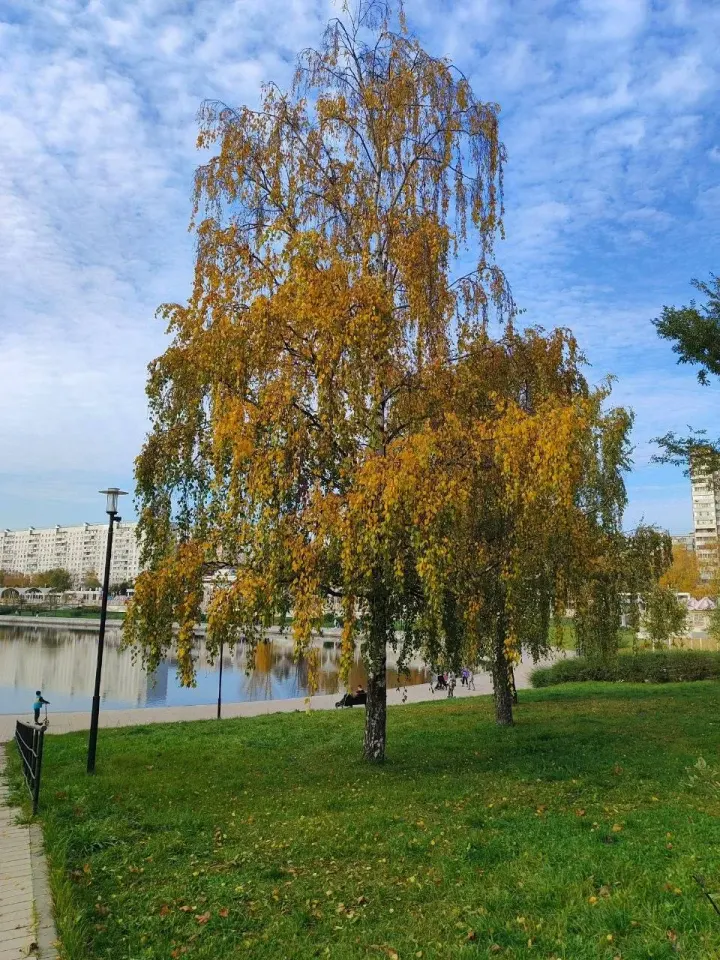 Фото из поста