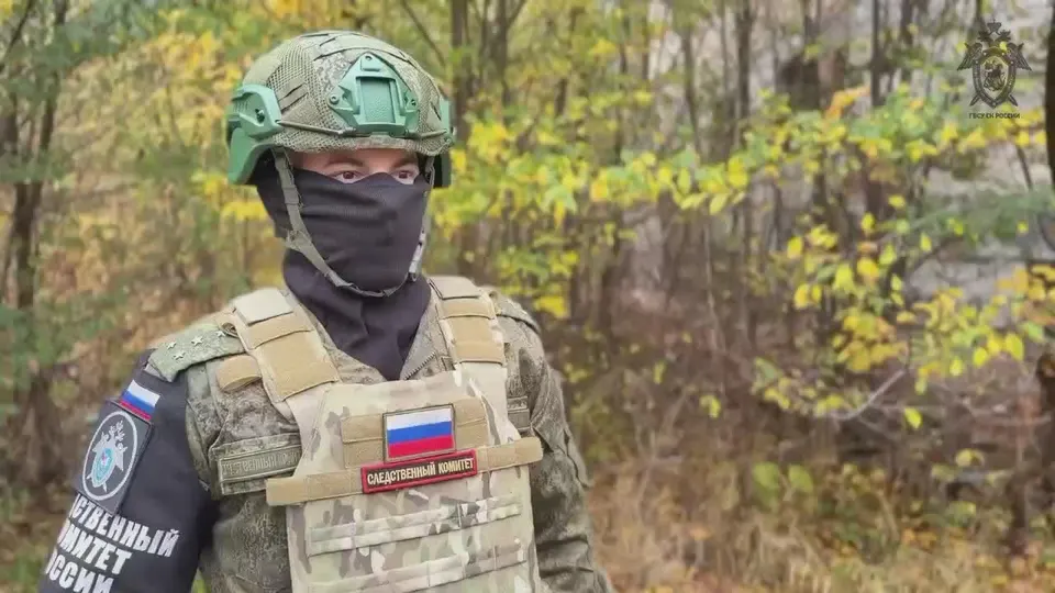 Обложка видео