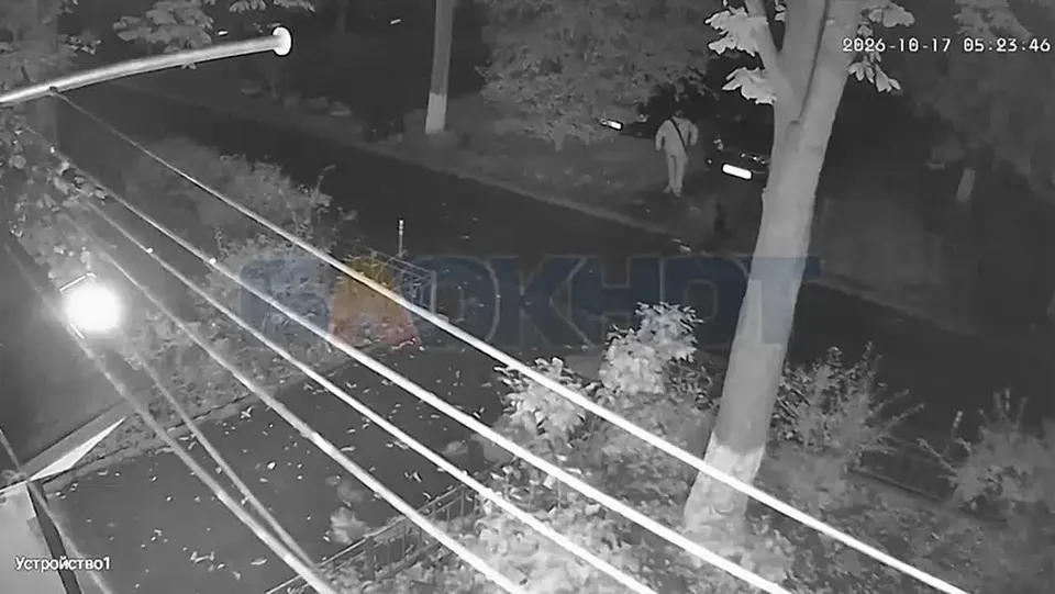 Обложка видео