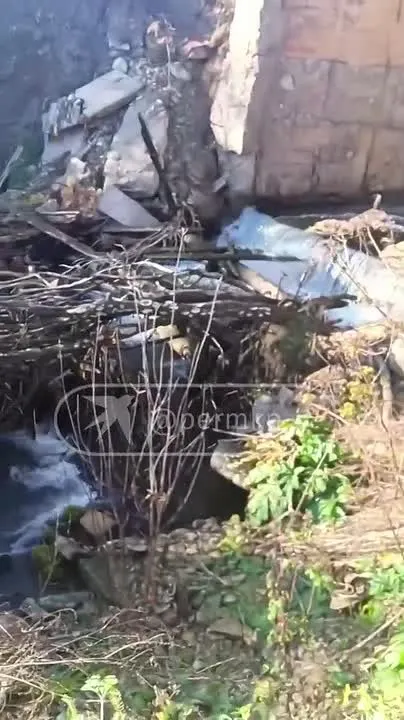 Обложка видео