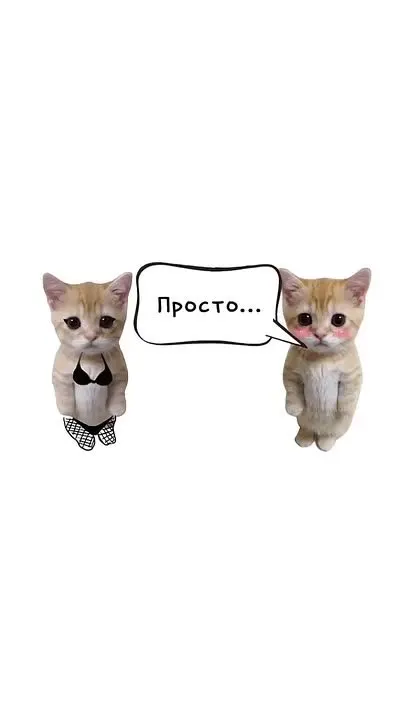 Обложка видео