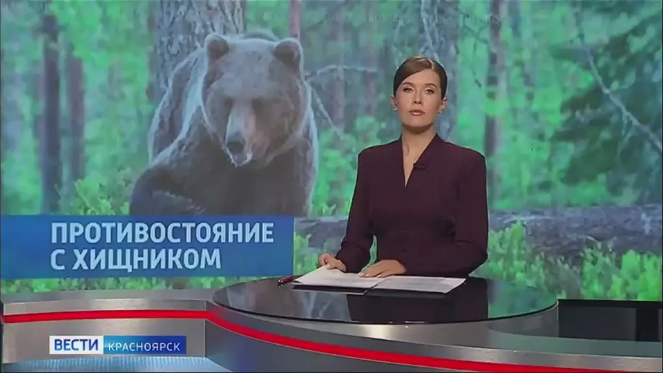 Обложка видео