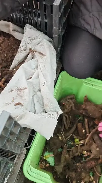 Обложка видео
