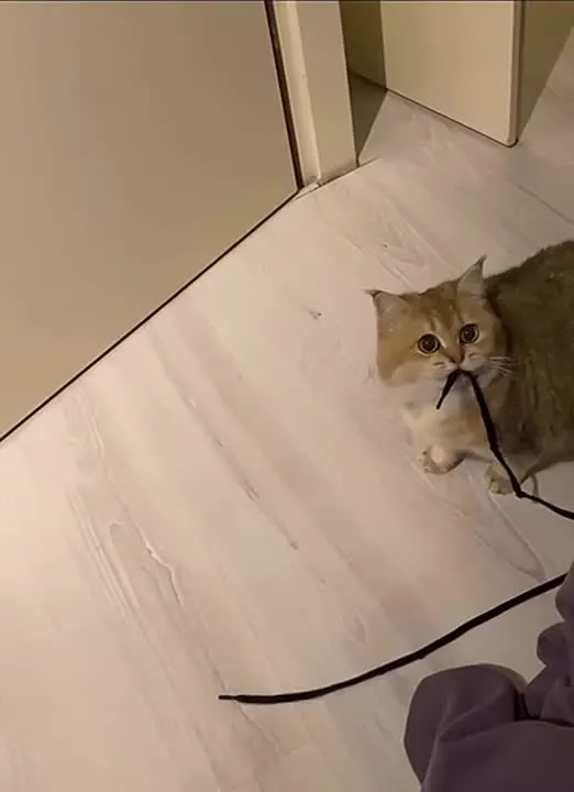 Обложка видео