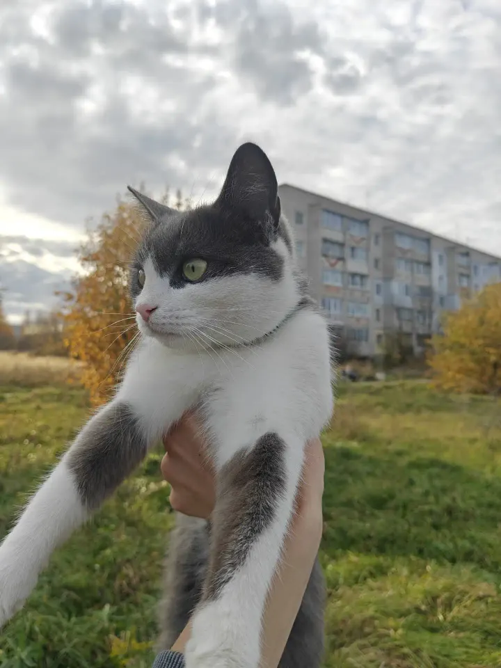 Фото из поста