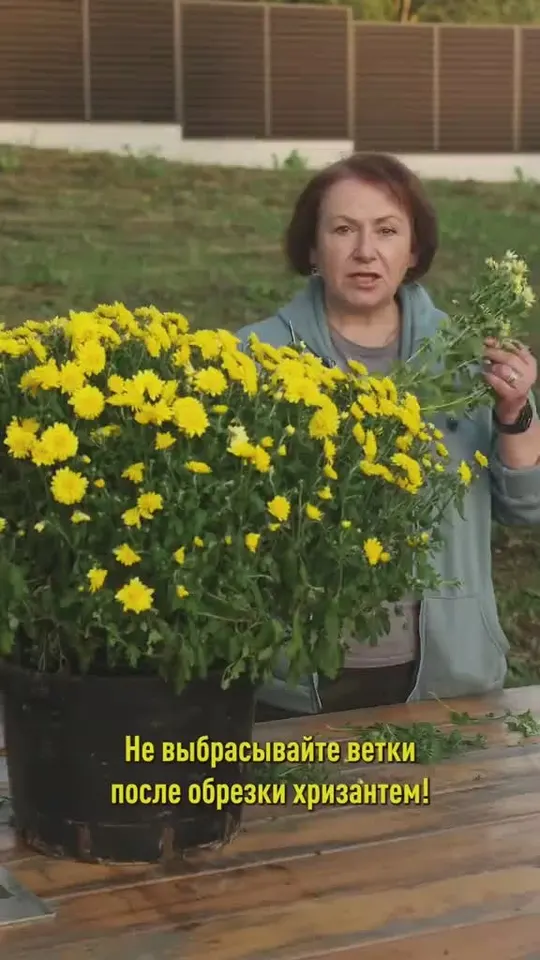 Обложка видео