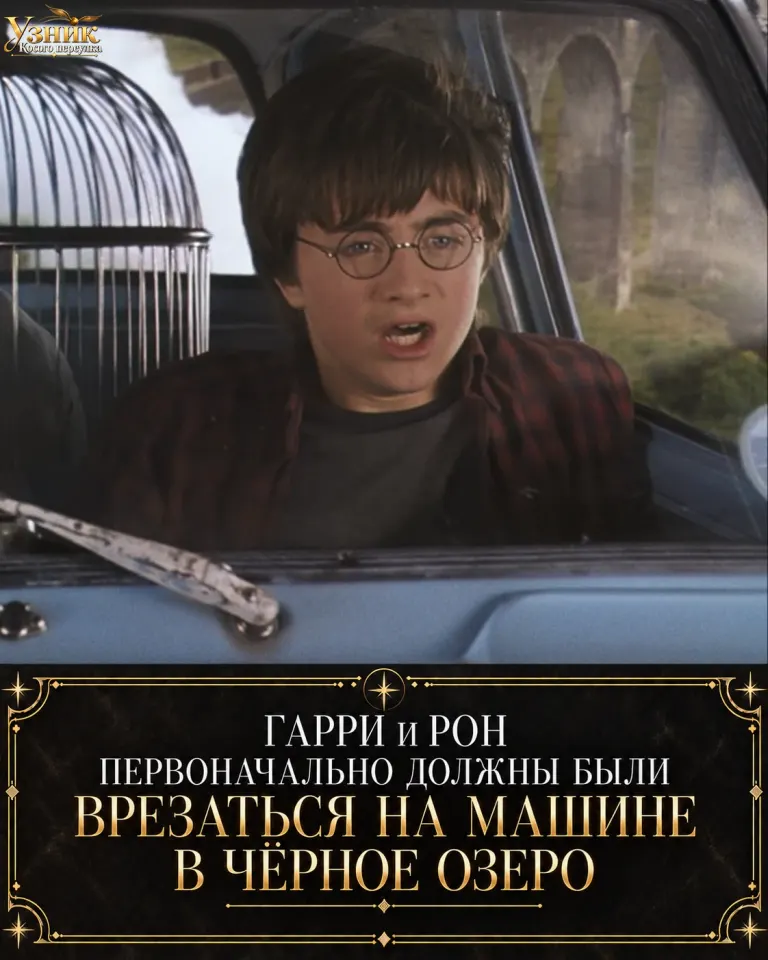 Фото из поста