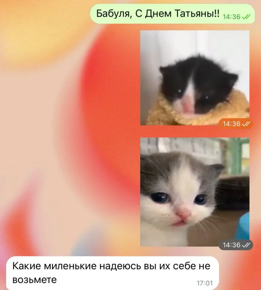 Фото из поста