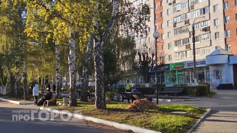 Фото из поста