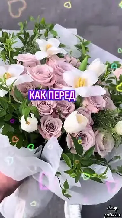 Обложка видео