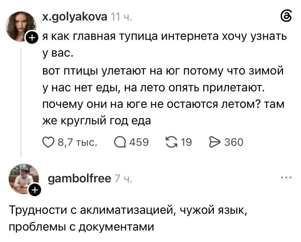 Фото из поста