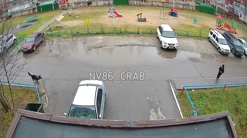 Обложка видео