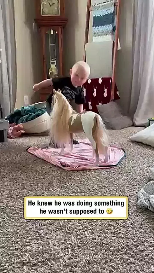 Обложка видео