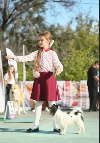Фото из поста