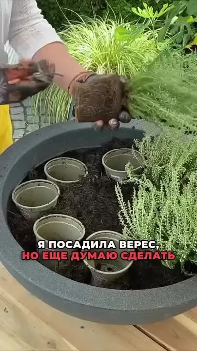 Обложка видео