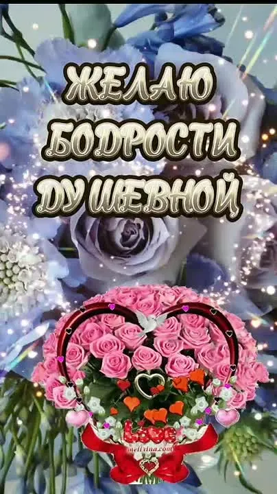 Обложка видео