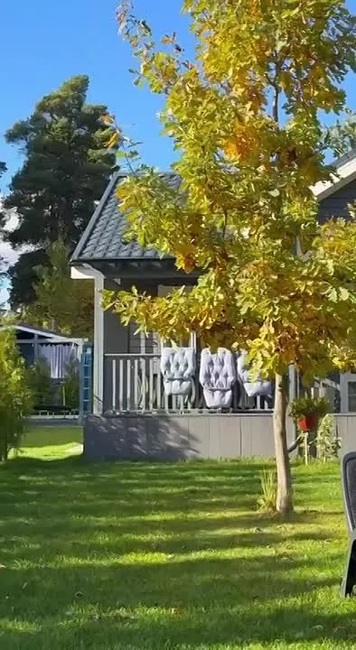 Обложка видео