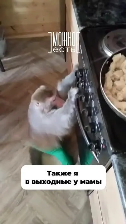 Обложка видео