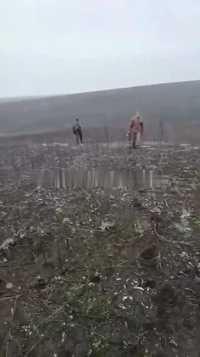Обложка видео