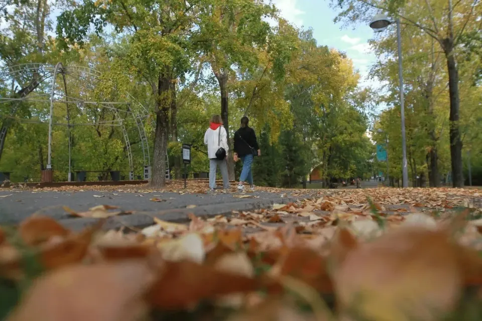 Фото из поста