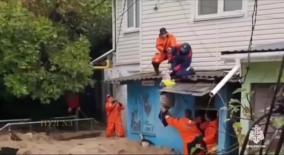 Обложка видео