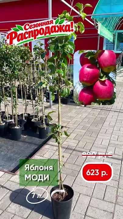 Обложка видео